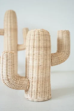 Rotan Cactus Pendek
