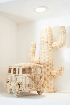 Rotan Mini Van